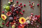 Stillleben mit Früchten (Beeren, Weintrauben, Feigen und Pfirsiche)