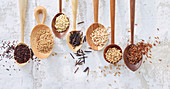 Various types of grains on wooden spoons