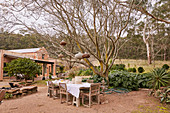 Set tree below lanterns hung from tree in garden