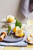 Zitronenstilleben mit Zitronensaft und Zitronenpresse