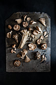 Variety of mushrooms on a rustic slate, view from above