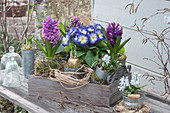 Spring Arrangement With Hyacinths And Primrose
