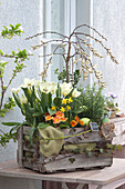 Wine Box With Spring Planting