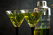 Two fresh green cocktails with rosemary and olives in martini glasses on gray background
