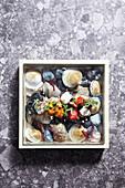 Shell, mussel, scallop, lily and conch