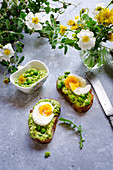 Bruschette with pea and dandelion hummus served with boiled eggs