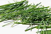 Fresh chive herbs on a white background