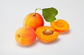 Aprikosen, ganz und aufgeschnitten, mit Blatt