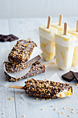 Frozen Yogurt Mango-Maracuja mit Schokolade-Nuss-Glasur