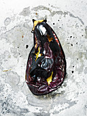 A grilled aubergine