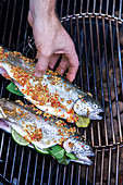 Grilled trout in oriental ginger and shallot marinade