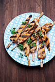 Grilled chicken-on-a-stick with a citrus marinade