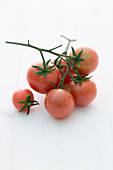 'Brandywine Cherry' (tomato variety)