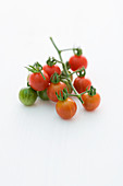'Wild Humboldtii' (tomato variety)