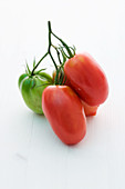 'Red Zora' (tomato variety)