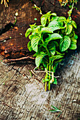 Fresh mint on a rustic background