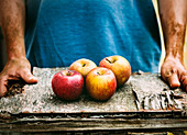 Hände halten rustikales Holzbrett mit frisch geernteten Äpfeln