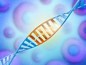 DNA editing, conceptual illustration