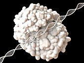 CRISPR-Cas9 gene editing complex, illustration