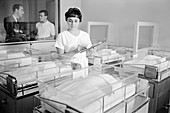Newborn babies and nurse, 1960s