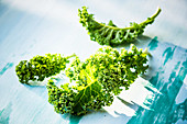 Kale (Brassica oleracea var. Sabellica L)
