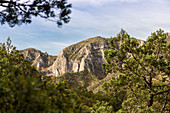 Guadalupe Mountains National Park, Texas, USA