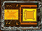 Smartphone MEMS microphone, light micrograph