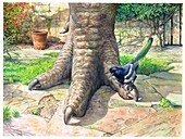 Magpie and dinosaur foot, illustration