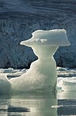 Iceberg carved from glacier, Hamiltonbrukt, Svalbard