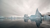 Icebergs, Rode Fjord, Greenland