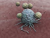 Natural killer cells attacking cancer, illustration