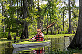 Environmental kayak tour of Louisiana swamp, USA