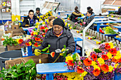 Imported flower warehouse, USA