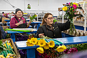 Imported flower warehouse, USA