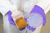 Sample and test for faecal microbiota transplant