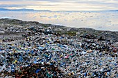 Arctic rubbish dump, view