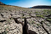 Drought-cracked soil, Spain