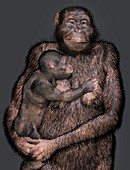 Australopithecus sediba female and infant, illustration