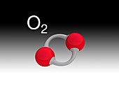 Oxygen molecule, illustration