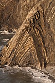 Folds in rock, Cemaes Head, Pembrokeshire, Wales, UK