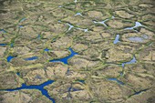 Ice wedge polygons in Alaskan tundra