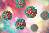 Transfusion transmitted virus particles, illustration