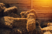 Dry baled hay