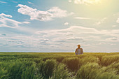 Male farmer walking through green wheat field