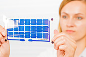 Solar cell printed on flexible film