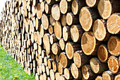 Woodpile on grass