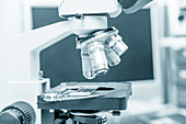 Microscope stage and lenses