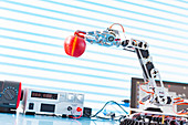 Robotic arm holding apple
