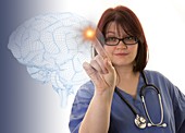 Doctor touching virtual human brain