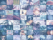 Montage of science and technology images, illustration